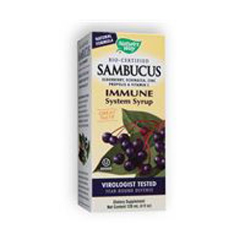 Sambucus Regular Syrup 4 OZ by Nature's Way
